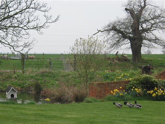 Rye Farm garden